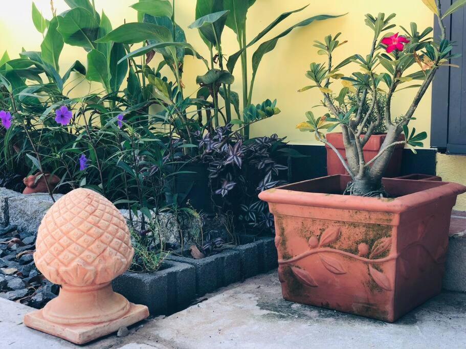 Fisherman Village Boutique Villas - Beachfront Ham Tan Екстериор снимка